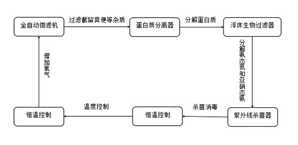 案例第五期-寧德達旺水產流程圖.jpg