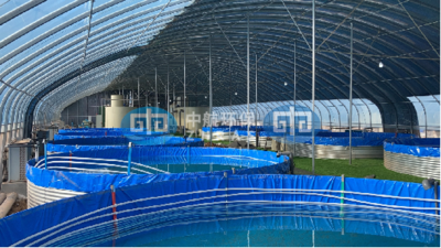 ZH-RAS300 循环水养殖系统 —— 适配多场景的高效水产解决方案